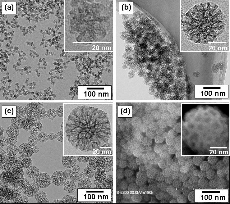 Mesoporous_Silica_Nanoparticle.jpg